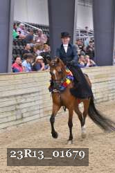 23R13_01679 thumbnail