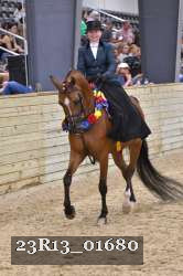 23R13_01680 thumbnail