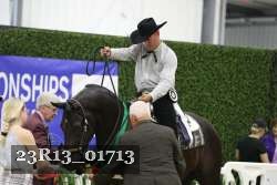 23R13_01713 thumbnail
