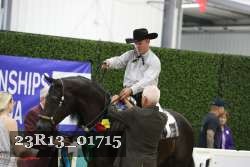 23R13_01715 thumbnail