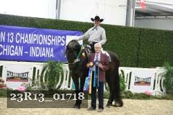 23R13_01718 thumbnail