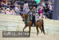 23R13_01719 thumbnail
