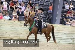 23R13_01720 thumbnail