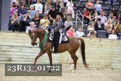 23R13_01722 thumbnail