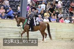 23R13_01723 thumbnail