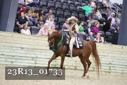 23R13_01733 thumbnail