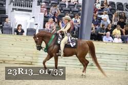 23R13_01735 thumbnail