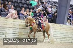 23R13_01736 thumbnail