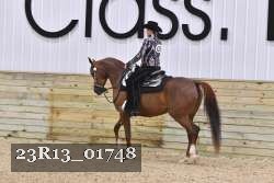 23R13_01748 thumbnail