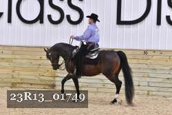 23R13_01749 thumbnail