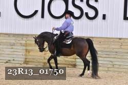 23R13_01750 thumbnail