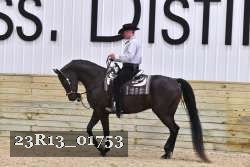 23R13_01753 thumbnail