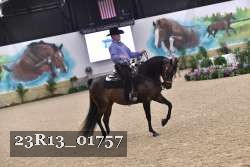 23R13_01757 thumbnail