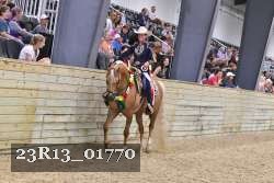 23R13_01770 thumbnail