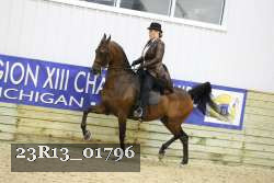 23R13_01796 thumbnail