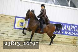 23R13_01797 thumbnail
