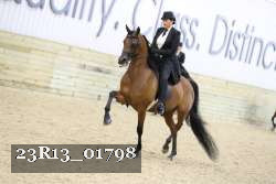 23R13_01798 thumbnail