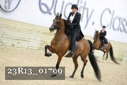 23R13_01799 thumbnail