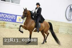 23R13_01800 thumbnail
