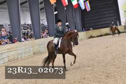 23R13_02073 thumbnail