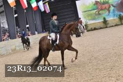 23R13_02074 thumbnail
