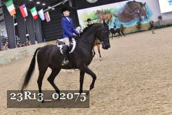 23R13_02075 thumbnail