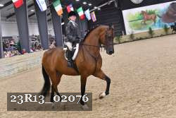 23R13_02076 thumbnail