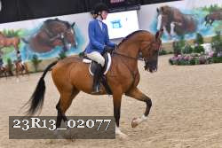 23R13_02077 thumbnail