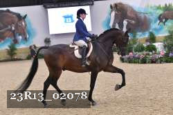 23R13_02078 thumbnail