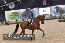 23R13_02080 thumbnail
