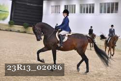 23R13_02086 thumbnail