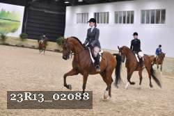 23R13_02088 thumbnail