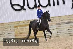 23R13_02089 thumbnail