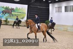 23R13_02090 thumbnail