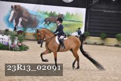 23R13_02091 thumbnail