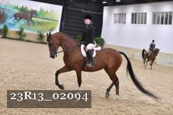 23R13_02094 thumbnail