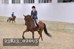 23R13_02095 thumbnail
