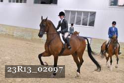 23R13_02097 thumbnail