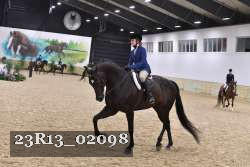 23R13_02098 thumbnail