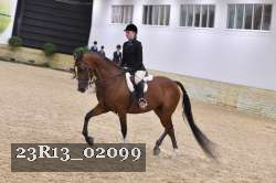 23R13_02099 thumbnail