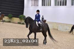 23R13_02100 thumbnail