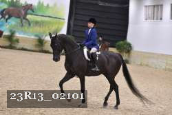 23R13_02101 thumbnail
