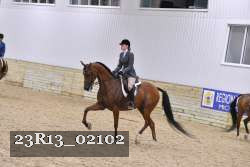 23R13_02102 thumbnail