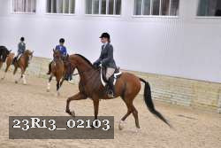 23R13_02103 thumbnail