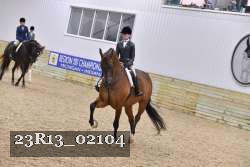 23R13_02104 thumbnail