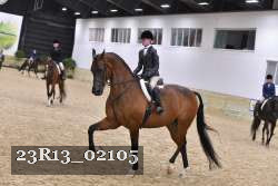 23R13_02105 thumbnail