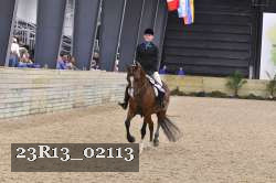 23R13_02113 thumbnail