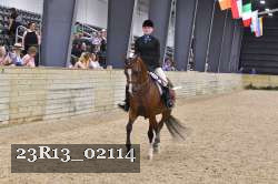 23R13_02114 thumbnail