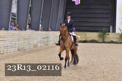23R13_02116 thumbnail