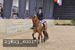 23R13_02117 thumbnail